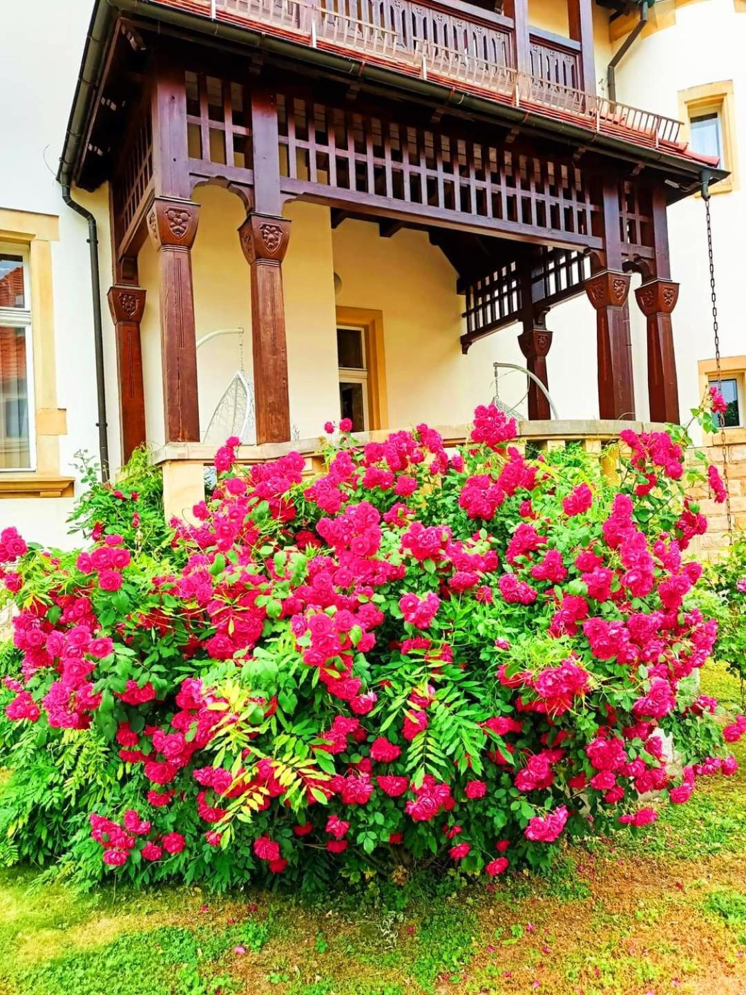Hotel Palacyk Legnica Exterior foto